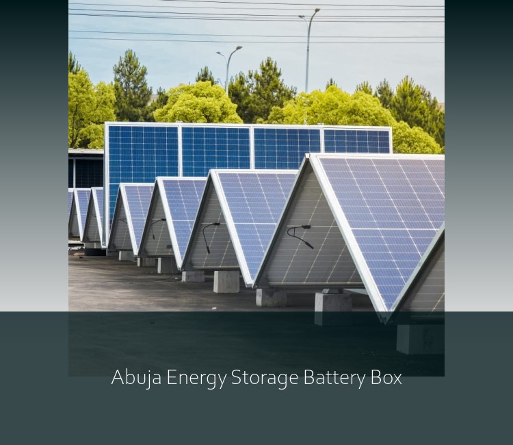 Abuja Energy Storage Battery Box