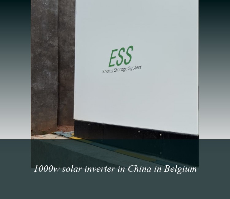 1000w solar inverter in China in Belgium