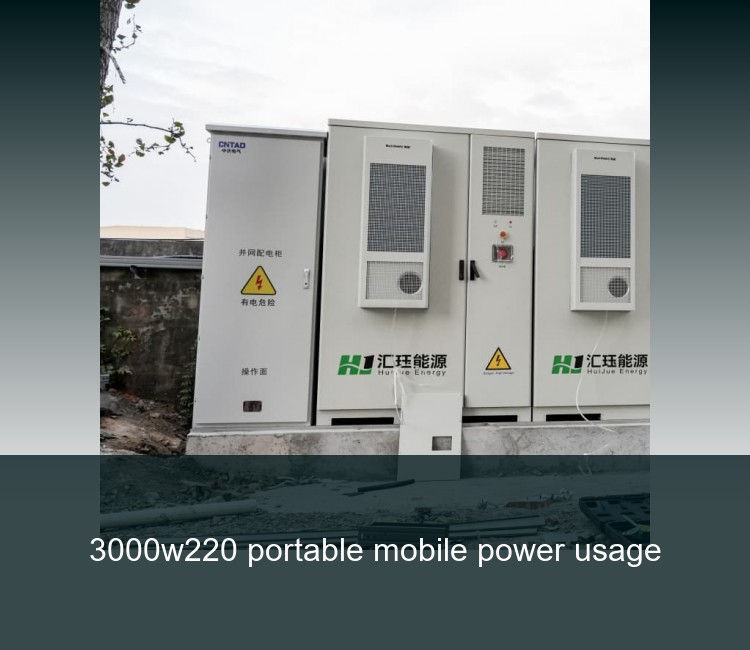 3000w220 portable mobile power usage
