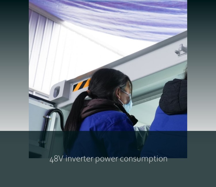 48V inverter power consumption