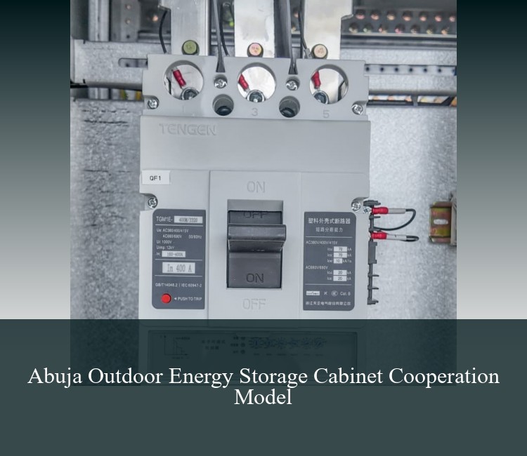 Abuja Outdoor Energy Storage Cabinet Cooperation Model