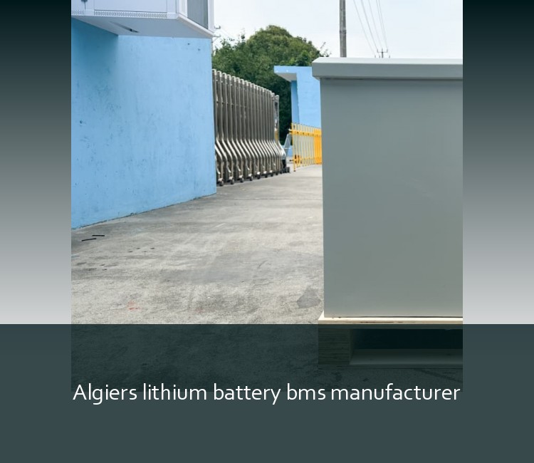Algiers lithium battery bms manufacturer