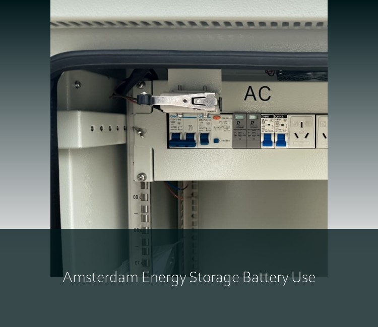 Amsterdam Energy Storage Battery Use