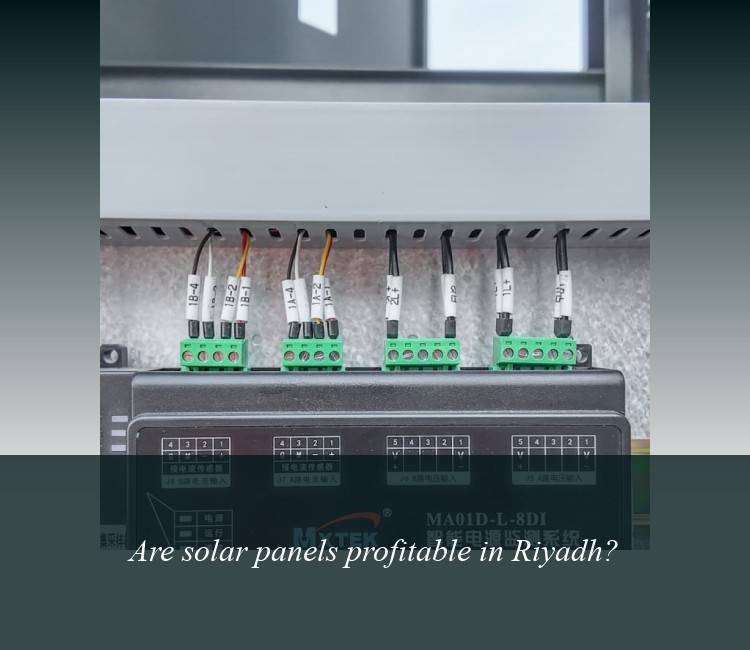 Are solar panels profitable in Riyadh?