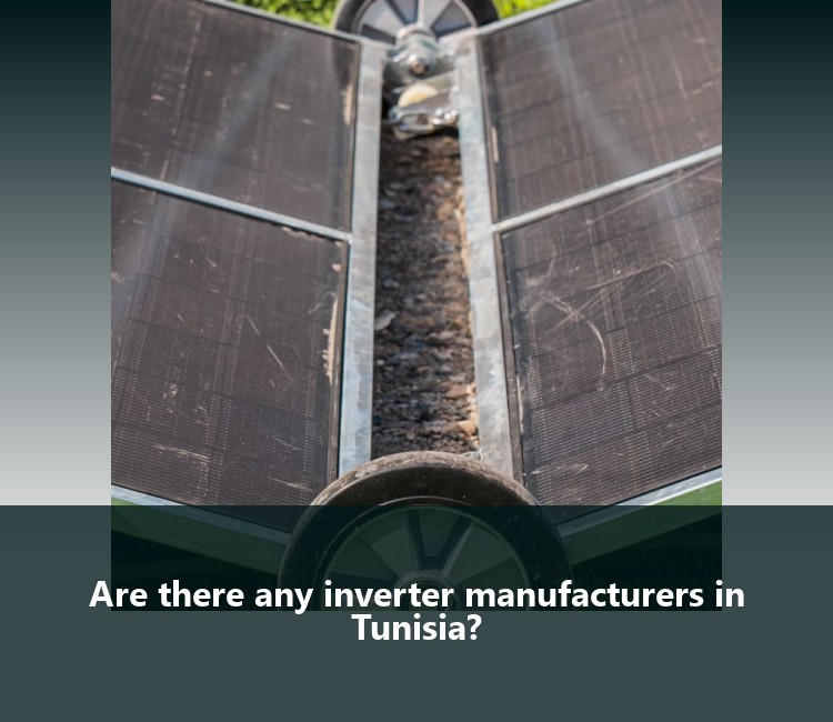 Are there any inverter manufacturers in Tunisia?