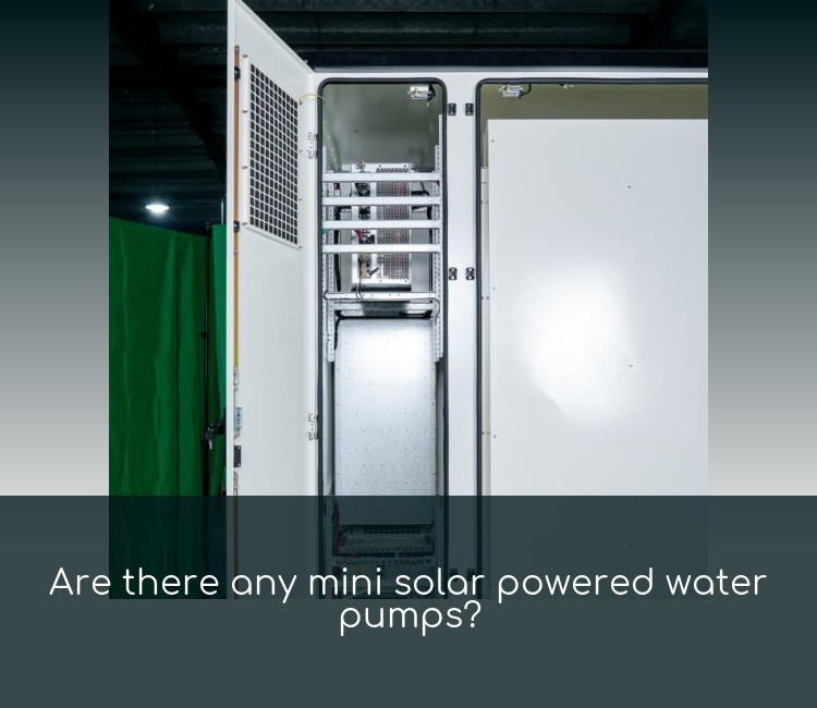 Are there any mini solar powered water pumps?