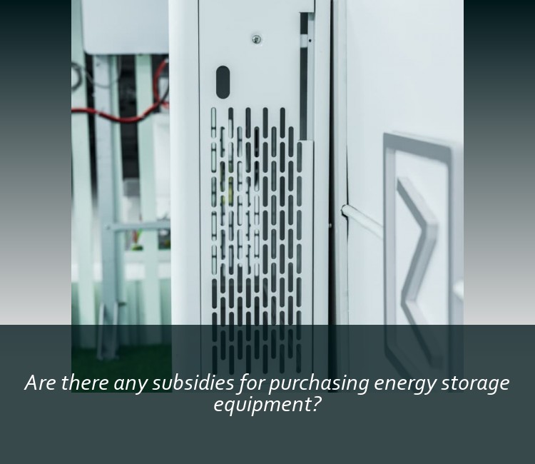 Are there any subsidies for purchasing energy storage equipment?