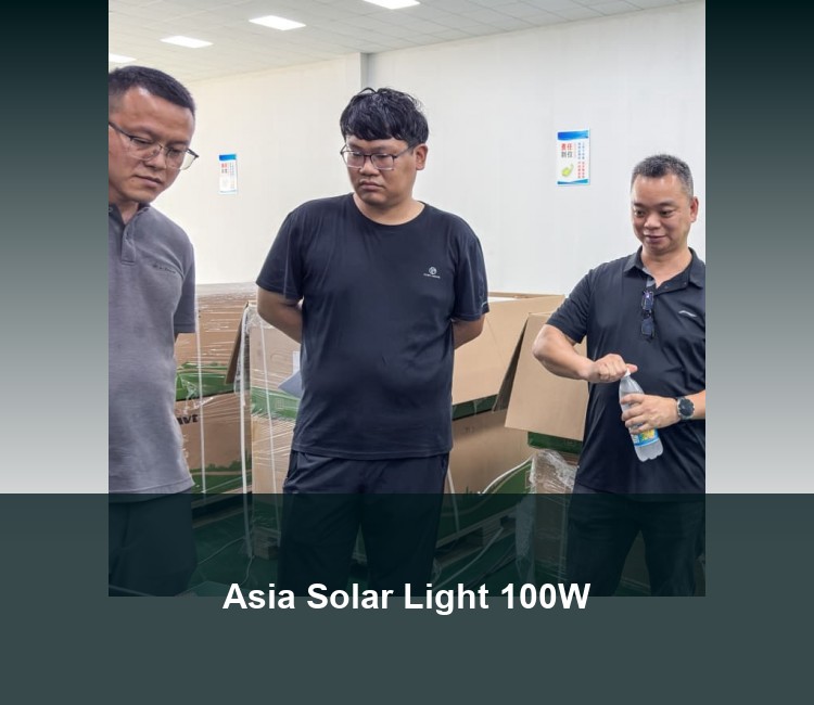 Asia Solar Light 100W