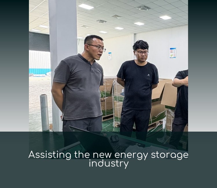 Assisting the new energy storage industry