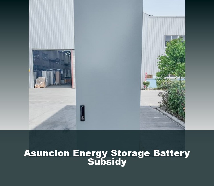 Asuncion Energy Storage Battery Subsidy