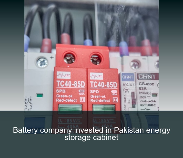 Battery company invested in Pakistan energy storage cabinet
