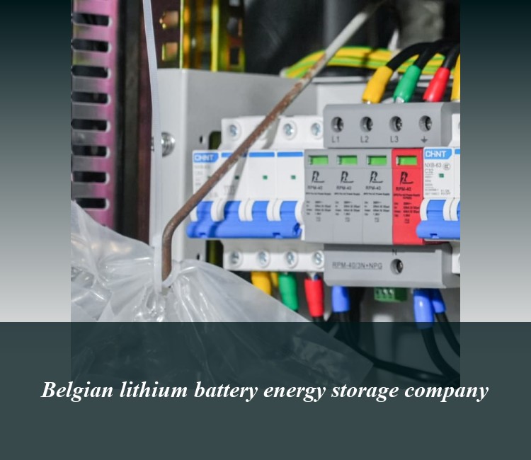 Belgian lithium battery energy storage company