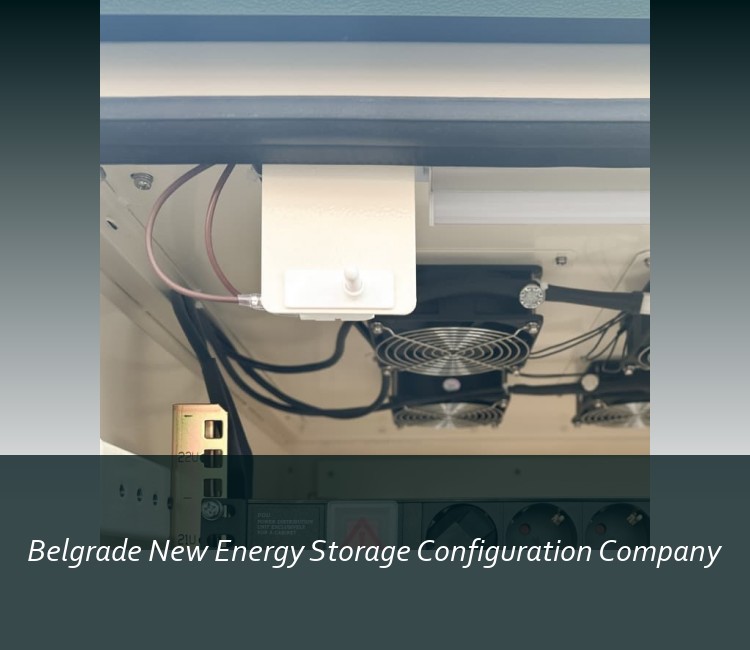 Belgrade New Energy Storage Configuration Company