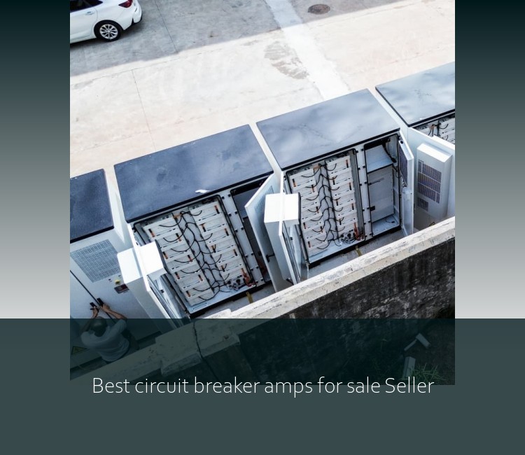 Best circuit breaker amps for sale Seller
