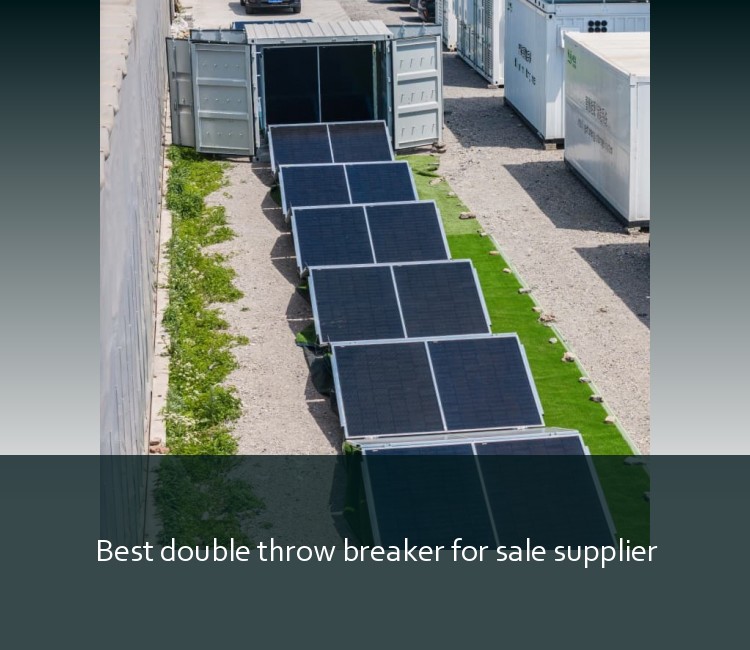 Best double throw breaker for sale supplier