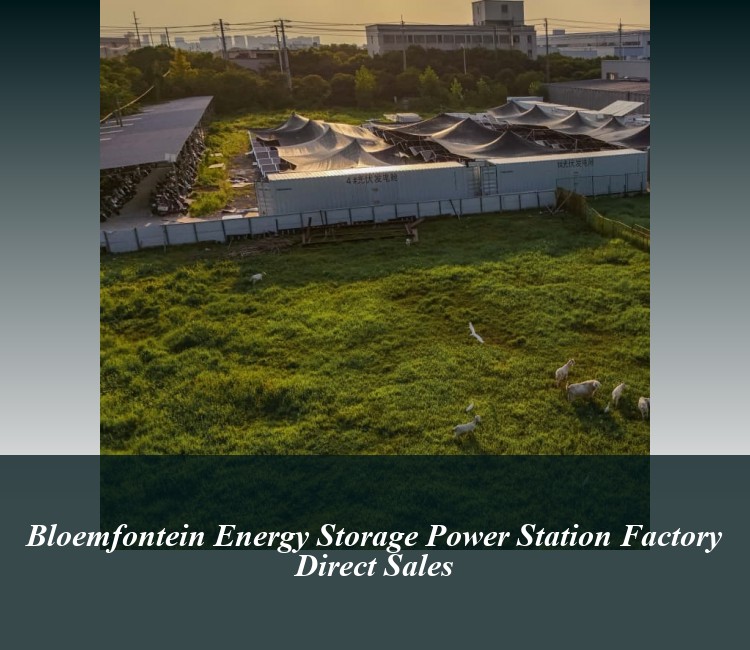 Bloemfontein Energy Storage Power Station Factory Direct Sales