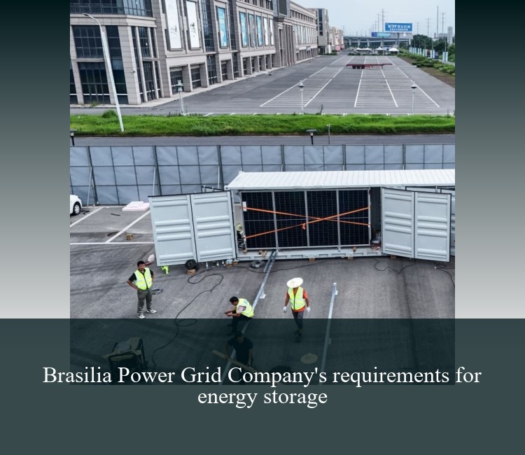 Brasilia Power Grid Company's requirements for energy storage