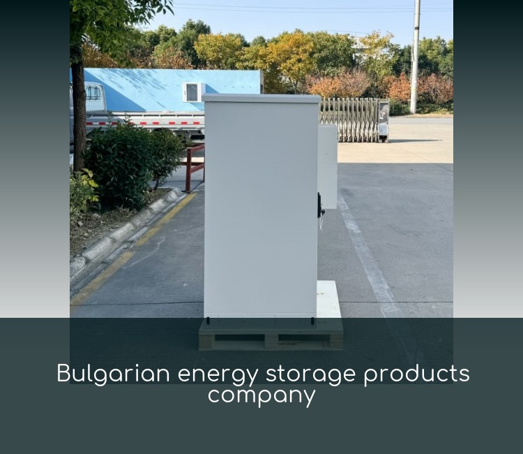 Bulgarian energy storage products company