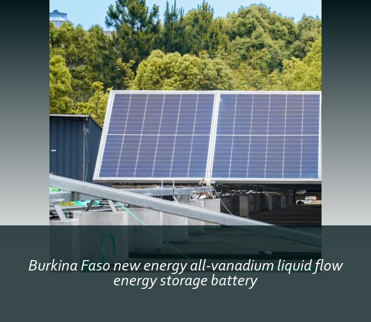 Burkina Faso new energy all-vanadium liquid flow energy storage battery