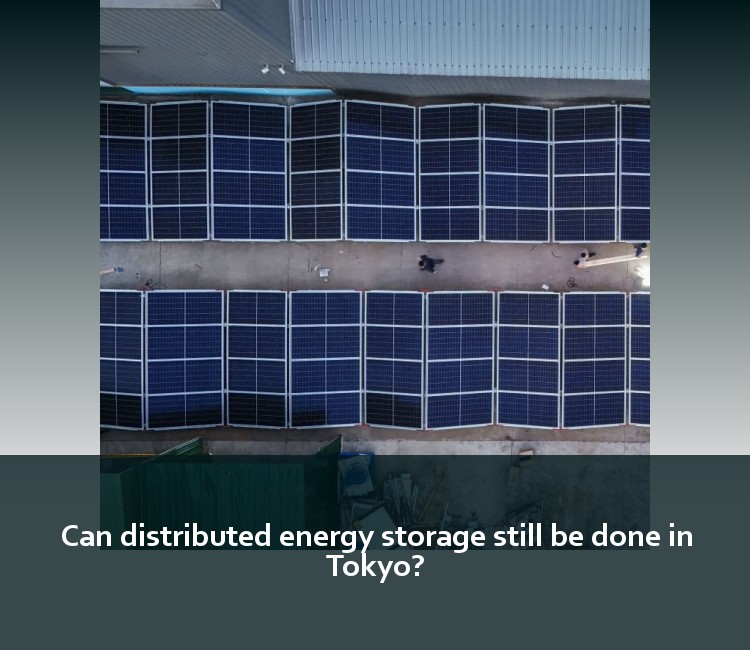 Can distributed energy storage still be done in Tokyo?
