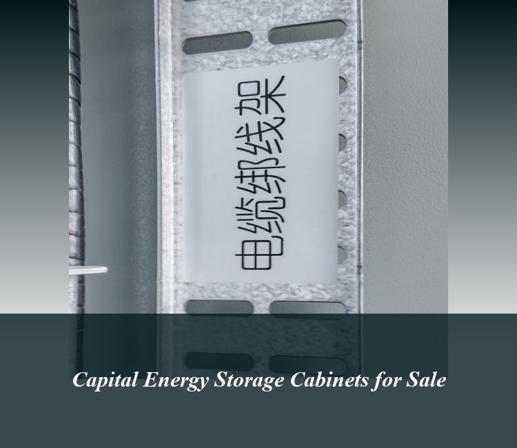 Capital Energy Storage Cabinets for Sale