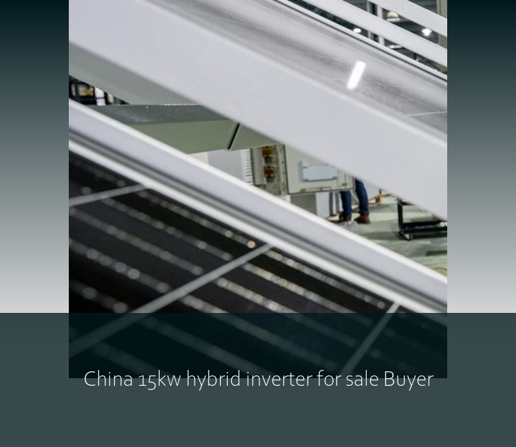 China 15kw hybrid inverter for sale Buyer