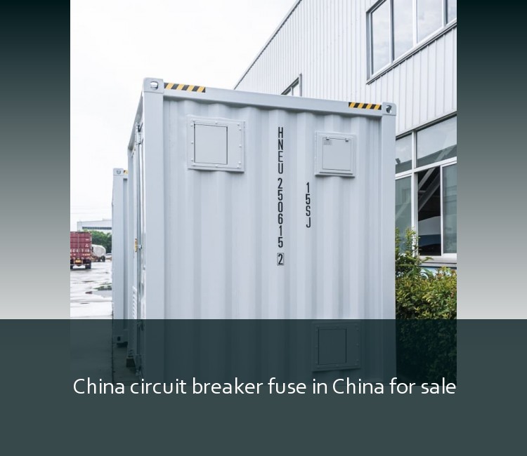 China circuit breaker fuse in China for sale
