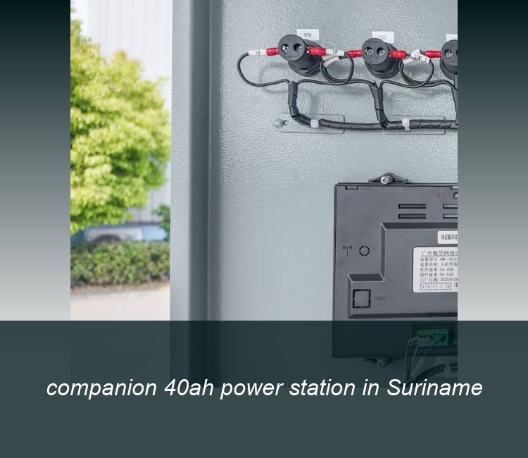 companion 40ah power station in Suriname