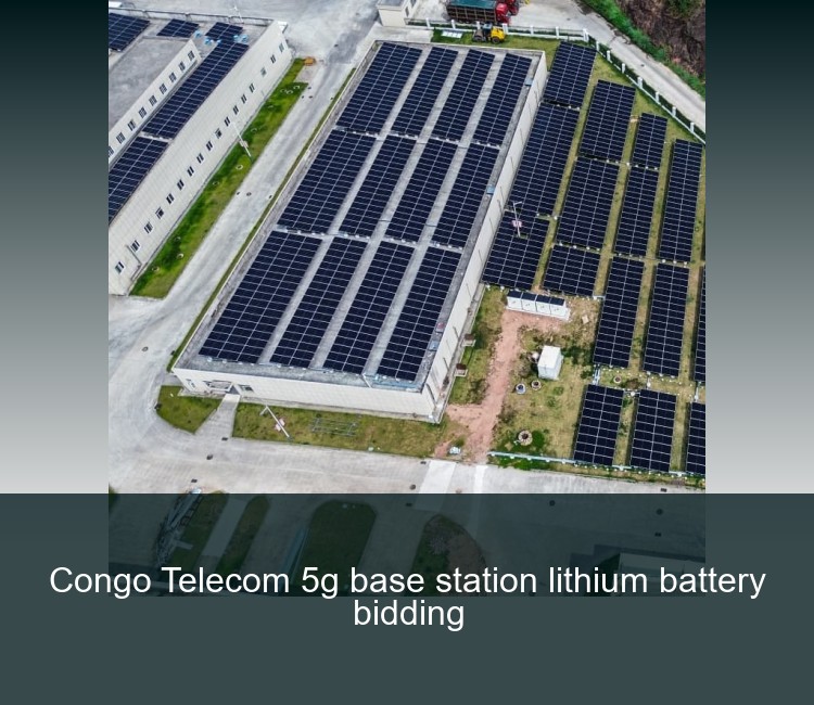 Congo Telecom 5g base station lithium battery bidding
