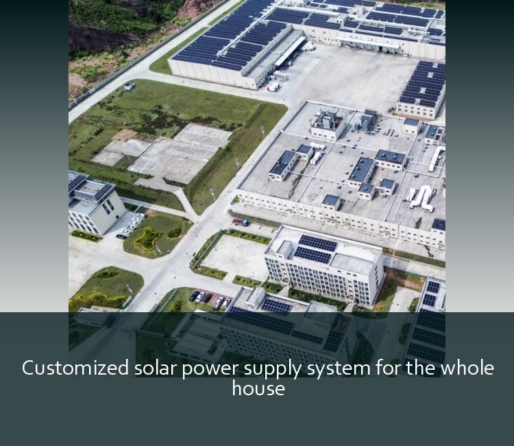 Customized solar power supply system for the whole house