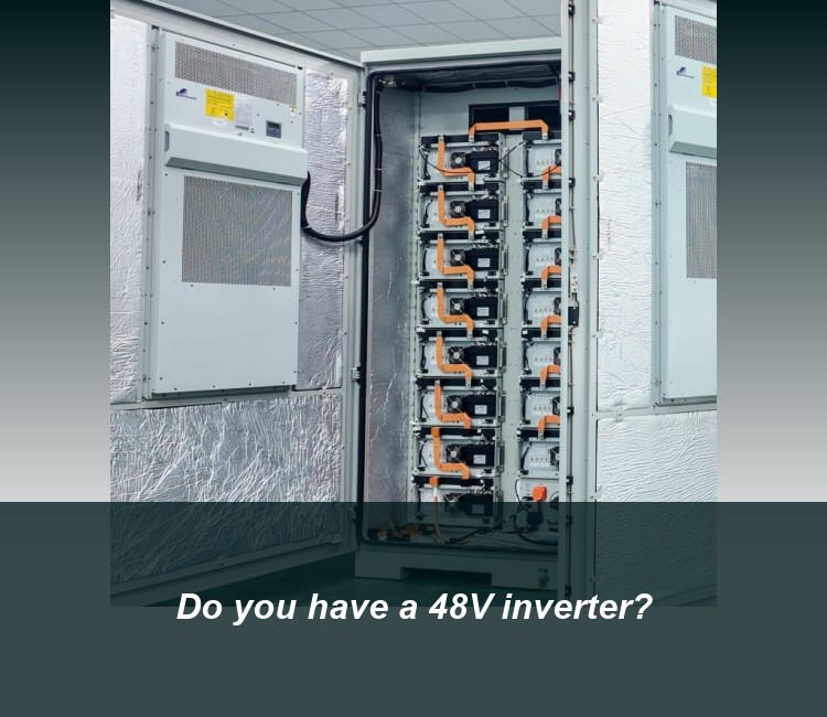 Do you have a 48V inverter?