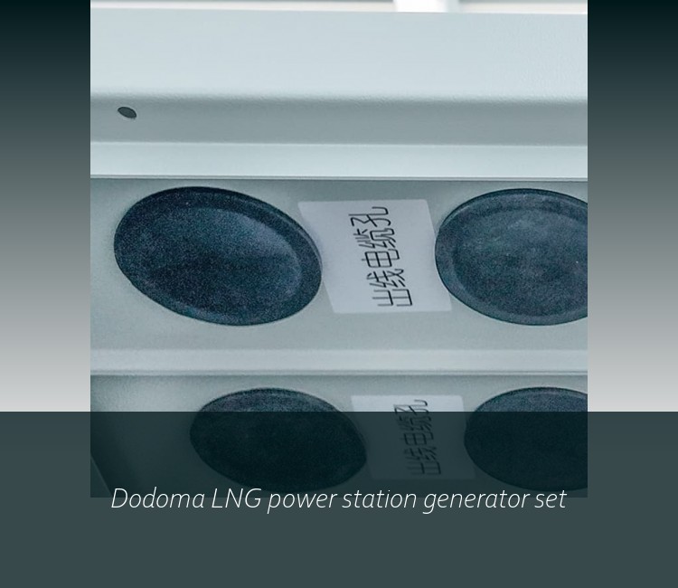 Dodoma LNG power station generator set