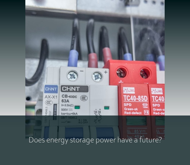 Does energy storage power have a future?