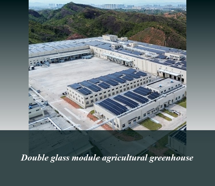 Double glass module agricultural greenhouse