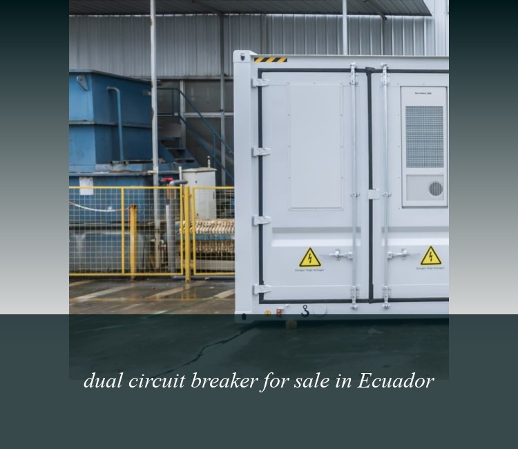 dual circuit breaker for sale in Ecuador