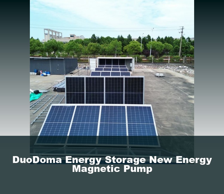 DuoDoma Energy Storage New Energy Magnetic Pump