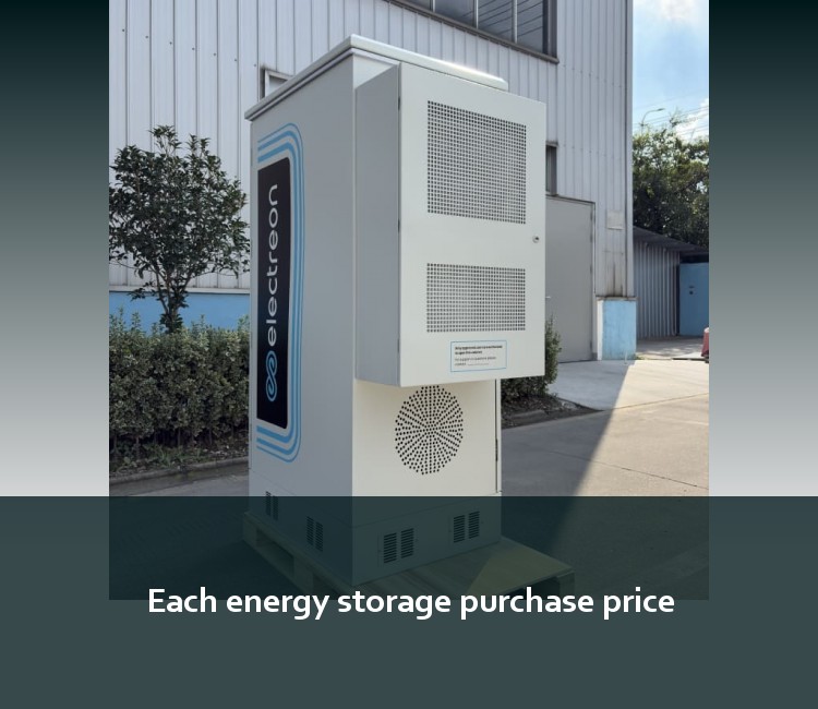 Each energy storage purchase price