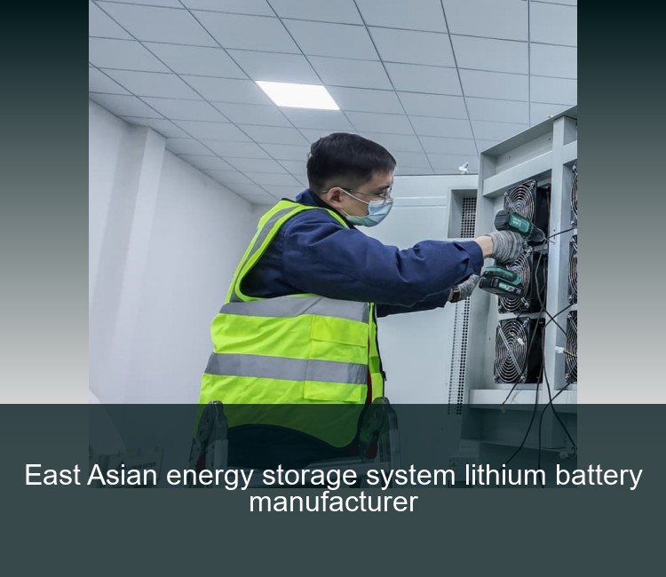 East Asian energy storage system lithium battery manufacturer