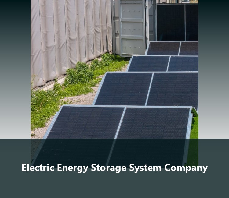 Electric Energy Storage System Company