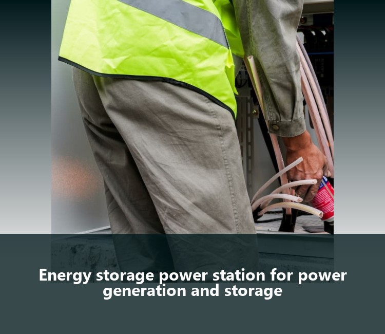 Energy storage power station for power generation and storage