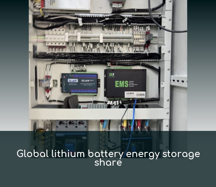Global lithium battery energy storage share
