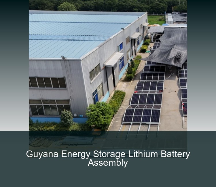 Guyana Energy Storage Lithium Battery Assembly
