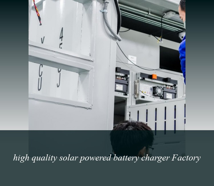 high quality solar powered battery charger Factory