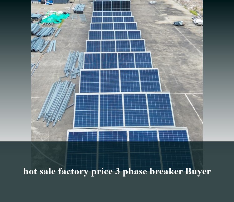 hot sale factory price 3 phase breaker Buyer