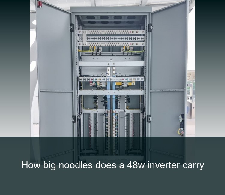 How big noodles does a 48w inverter carry