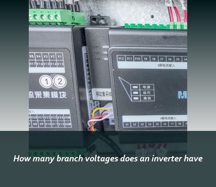 How many branch voltages does an inverter have