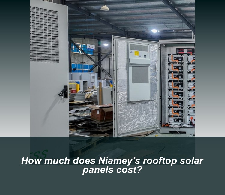 How much does Niamey's rooftop solar panels cost?