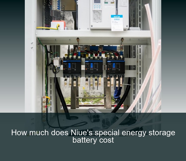 How much does Niue's special energy storage battery cost