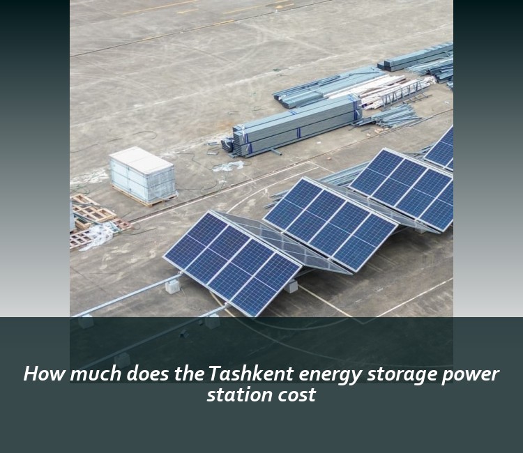 How much does the Tashkent energy storage power station cost