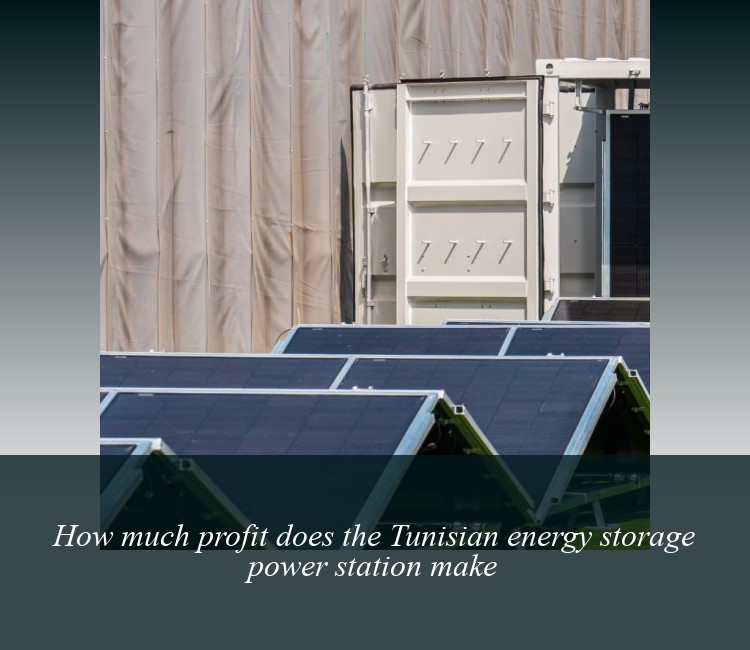 How much profit does the Tunisian energy storage power station make
